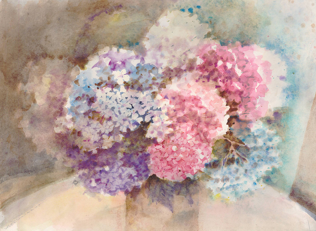 Opera Nora Berg - Hydrangea Ortensia
