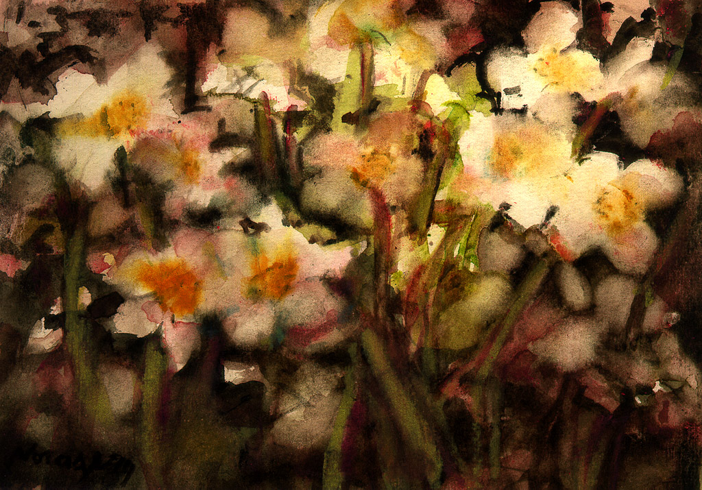 Opera Nora Berg - Helleborus Niger