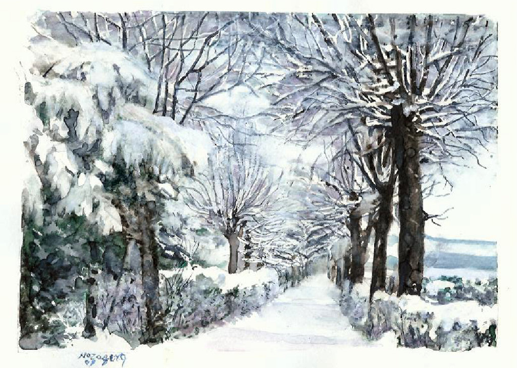 Opera Nora Berg - Sentiero innevato